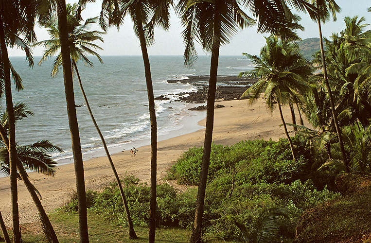 Strand in Goa - Goa 04