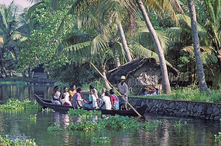  Szene in den Backwaters