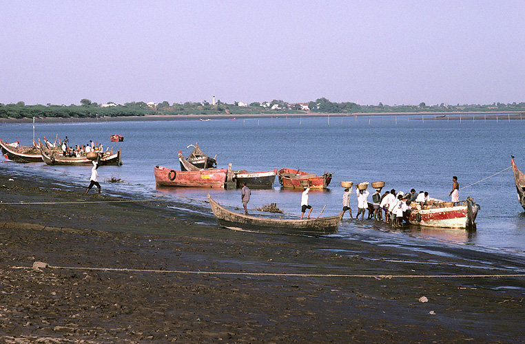 Fischerhafen im Mndungsgebiet, Gujarat - Narmada-Fluss 13