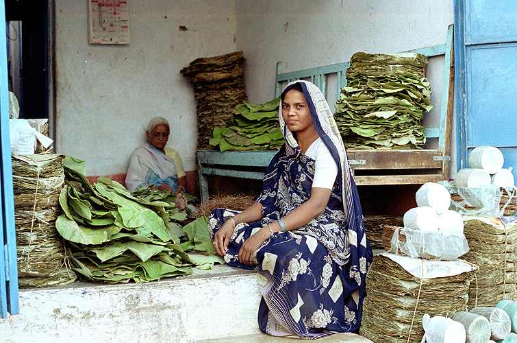 Verkauf von Einwegtellern aus Baumblttern, Madhya Pradesh