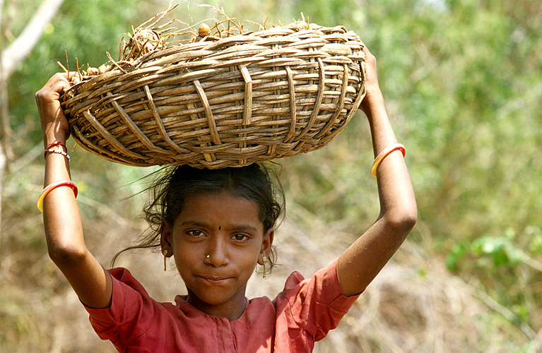 Viele Kinder arbeiten in der Landwirtschaft