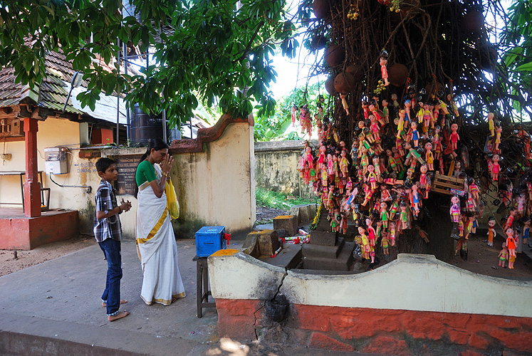 Ein heiliger Baum, der Kinderwnsche erfllt, Kerala