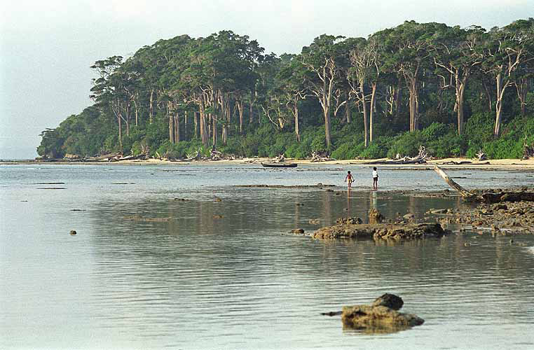  Strand bei Wandoor, South-Andaman 