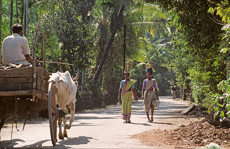 Kstenstrae nahe Revdanda sdlich von Mumbai - Goa 08
