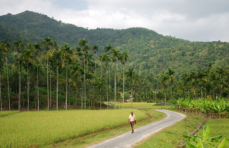  Berglandschaft in Wayanad, Western Ghats