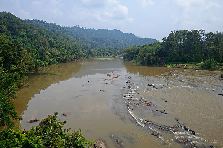  Der Periyar-Fluss in den Western Ghats