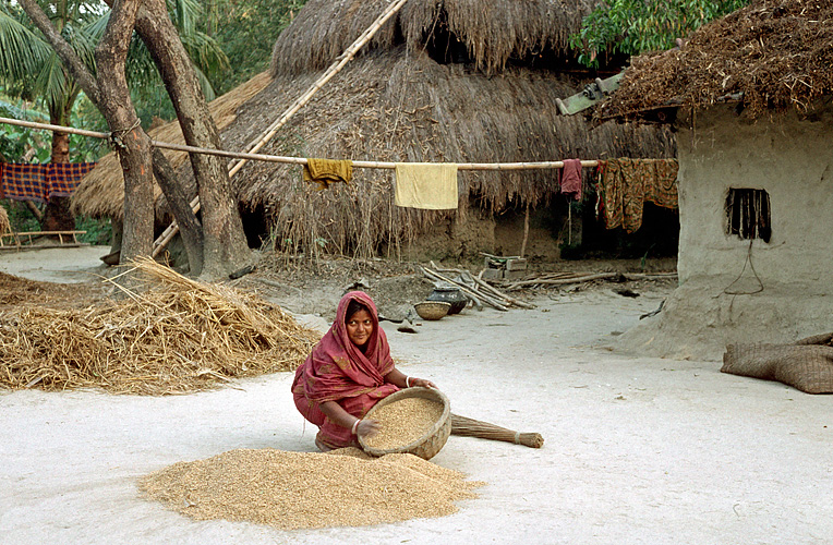 Buerin reinigt Getreide, West-Bengalen 