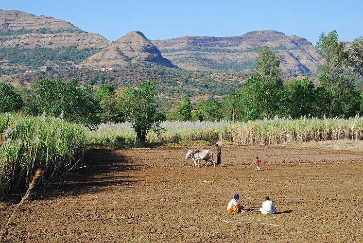 Feldarbeit in Maharashtra