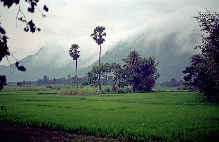 Regenwolken im Monsun, Jharkhand  - Monsun 02