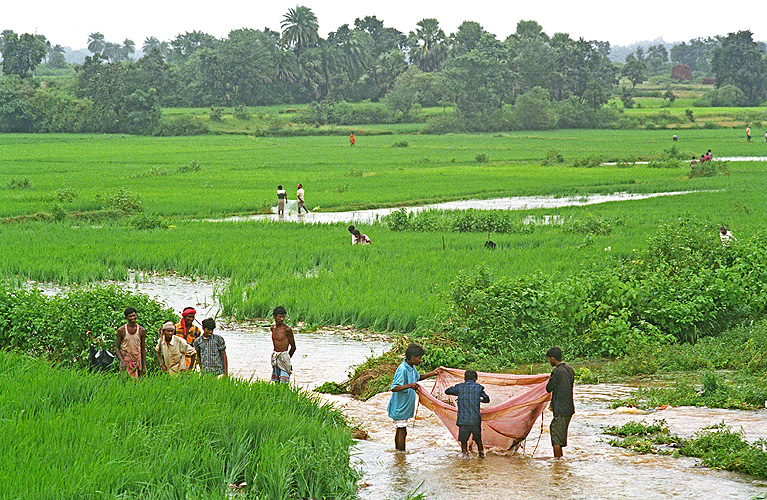 Mit bunten Tchern auf Fischfang, Jharkhand - Monsun 08