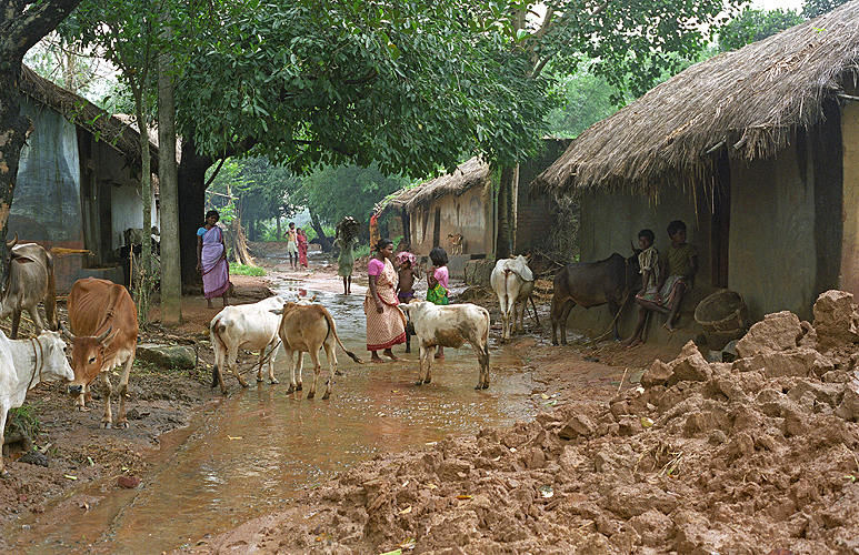 Der Regen weicht Lehmwnde auf und bringt sie zum Einsturz, Jharkhand - Monsun 14