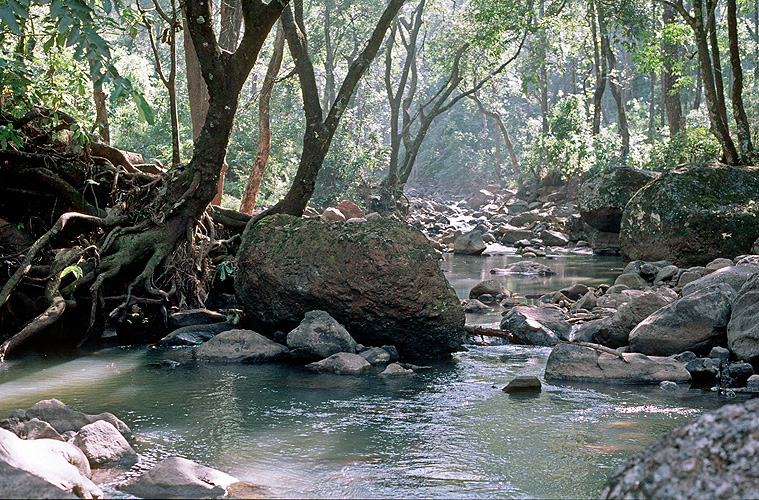 Oberlauf der Narmada nahe Amarkantak, Madhya Pradesh - Narmada-Fluss 06