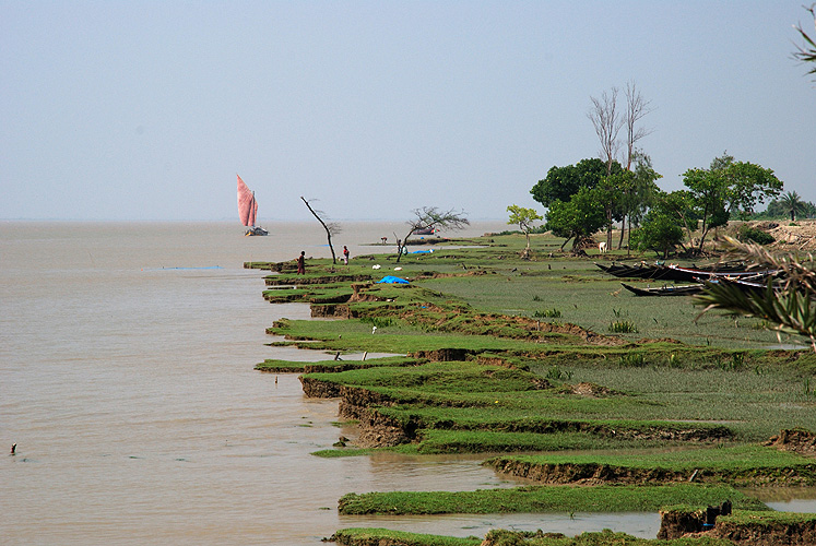 Ufer des Ganges im Mndungsgebiet - Sunderbans 01