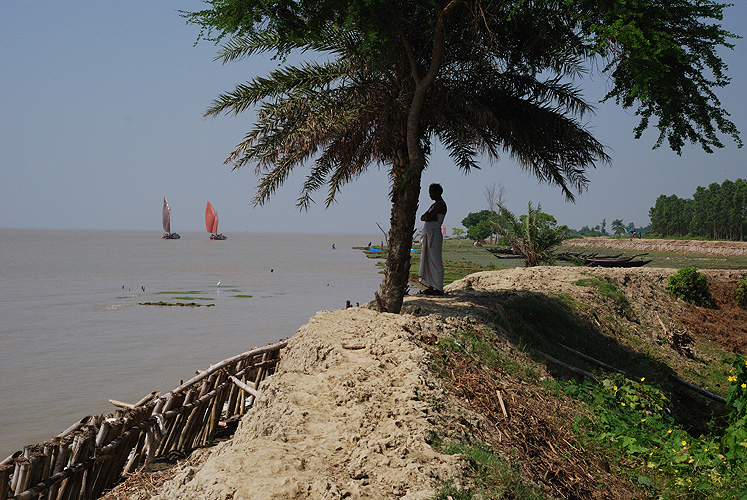 Deiche schtzen Drfer vor berflutung - Sunderbans 02