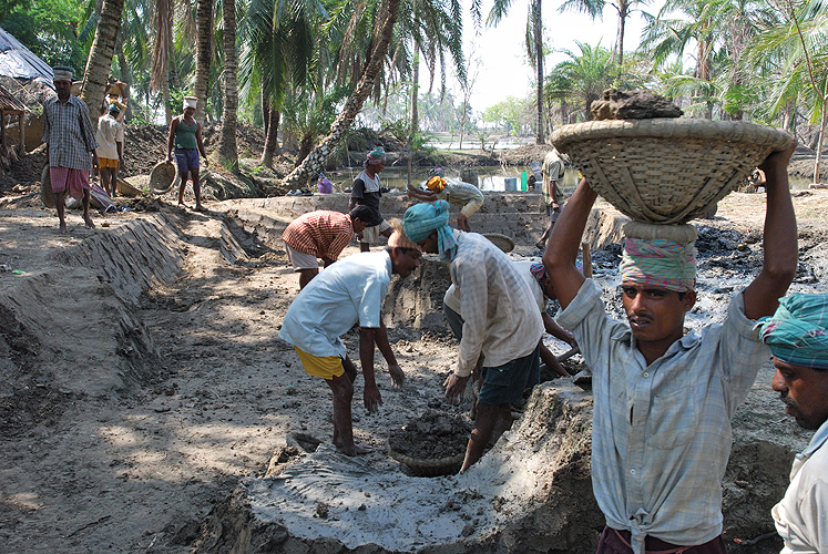 Ein Arbeitsbeschaffungsprogramm frdert den Bau von Deichen - Sunderbans 21