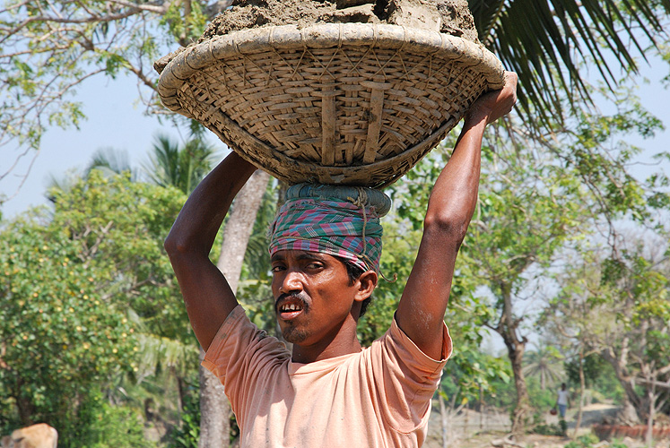 Arbeiter bei Deichbauarbeiten - Sunderbans 22