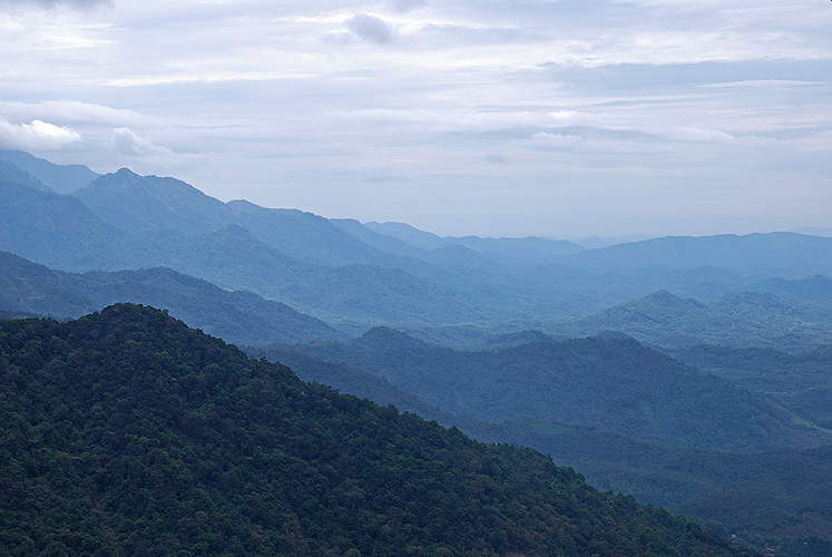 Dschungelbedeckte Berge im sdlichen Kerala - Western Ghats 01