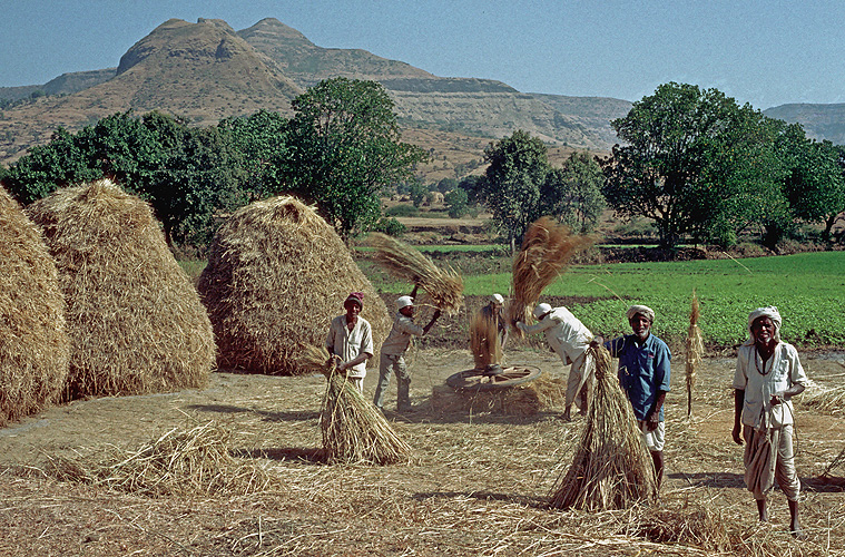 Feldarbeit im Western Ghats-Gebirge nahe Pune - Western Ghats 10