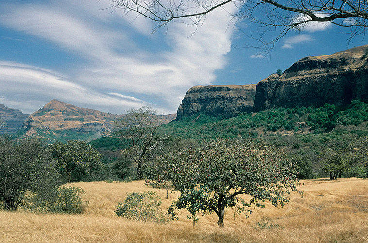 Berglandschaft in Mulshi nahe Pune - Western Ghats 12