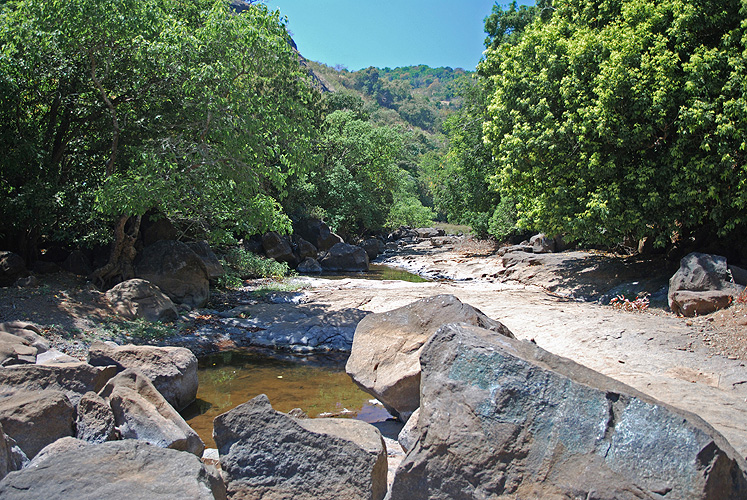 Oberlauf des Bhima-Flusses nahe Bhimashankar - Western Ghats 14