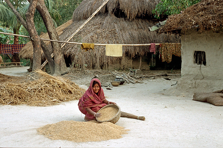 Getreidesubern in einem Dorf in West Bengalen