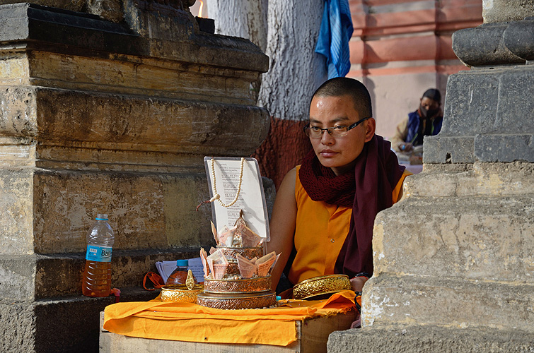 Eine Nonne studiert die heiligen Schriften, Bodh Gaya