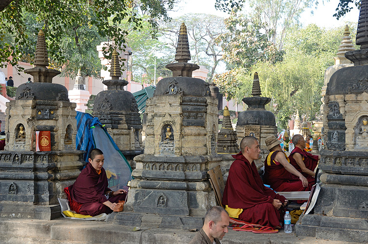 Mnche und Nonnen beten am Bodhi-Baum, Bodh Gaya