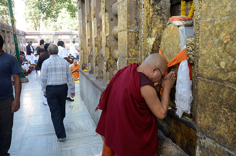 Ein Mnch verehrt den Bodhi-Baum, Bodh Gaya