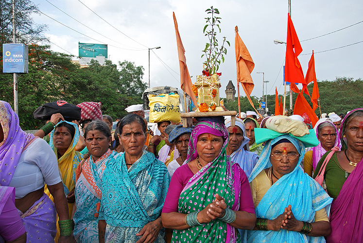 Pilgerinnen tragen heilige Basilikum-Pflanzen (Tulsi) - Pandharpur Yatra 17