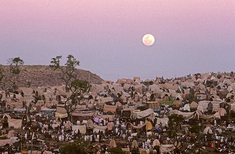 Vollmond ber dem Pilgerlager  - Yellamma Mela 15