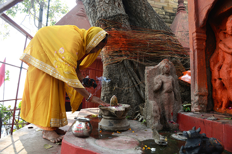 Opfer im Tempel unter heiligem Baum, Varanasi