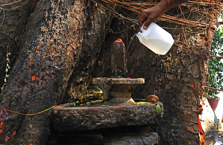 Baden des Shiva-Lingam mit Gangeswasser, Varanasi