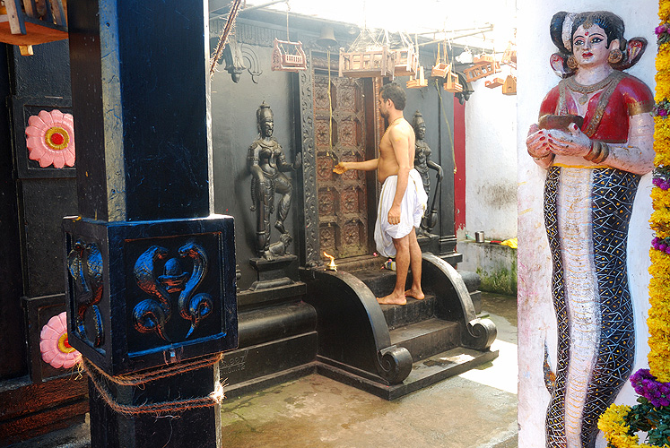 Schlangentempel in Thiruvananthapuram, Kerala